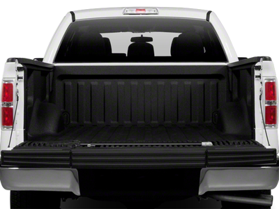2010 Ford F-150 XL