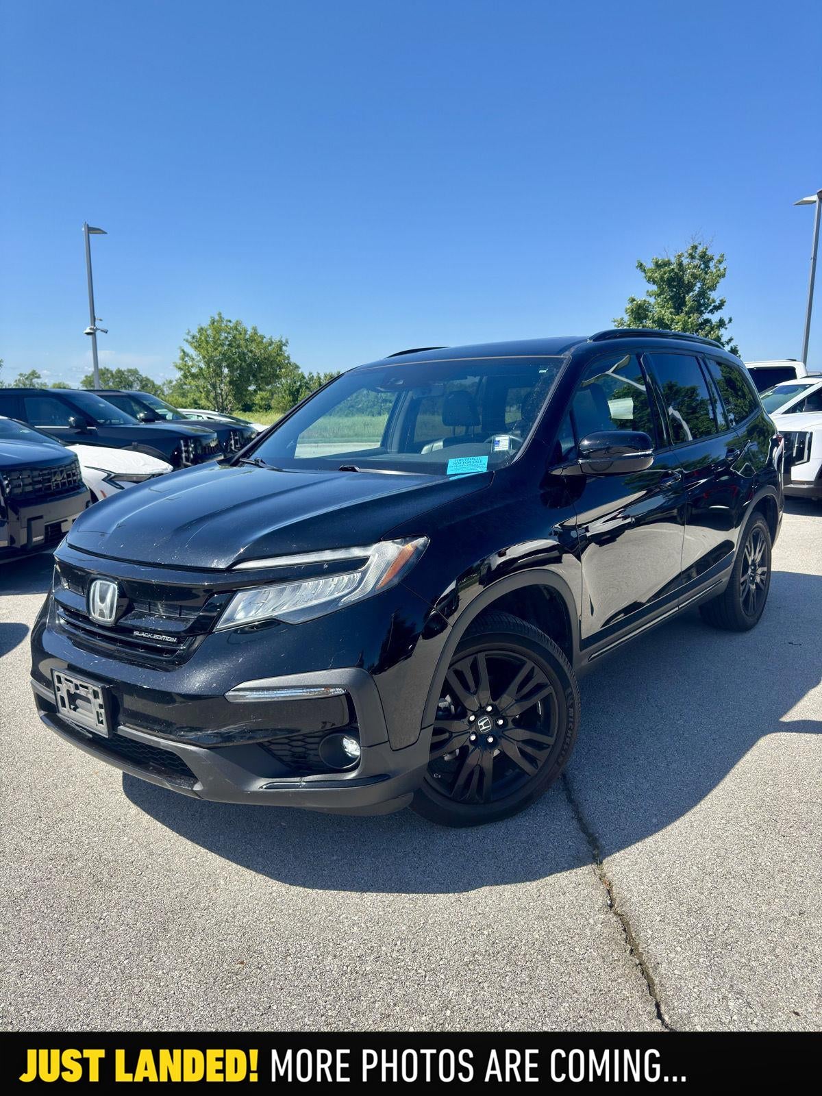 2020 Honda Pilot Black Edition