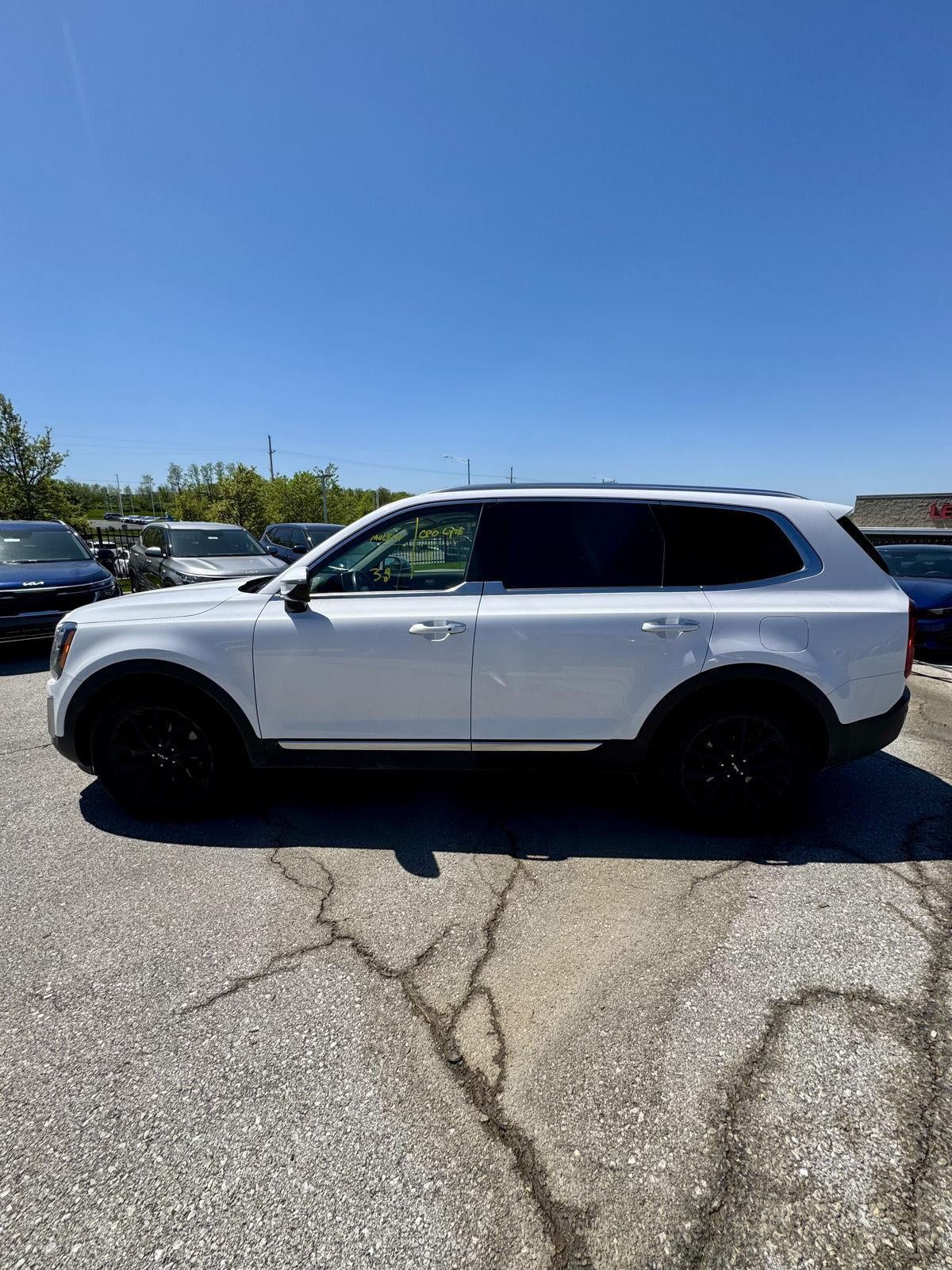 Used 2022 Kia Telluride SX with VIN 5XYP5DHC8NG221823 for sale in Kansas City