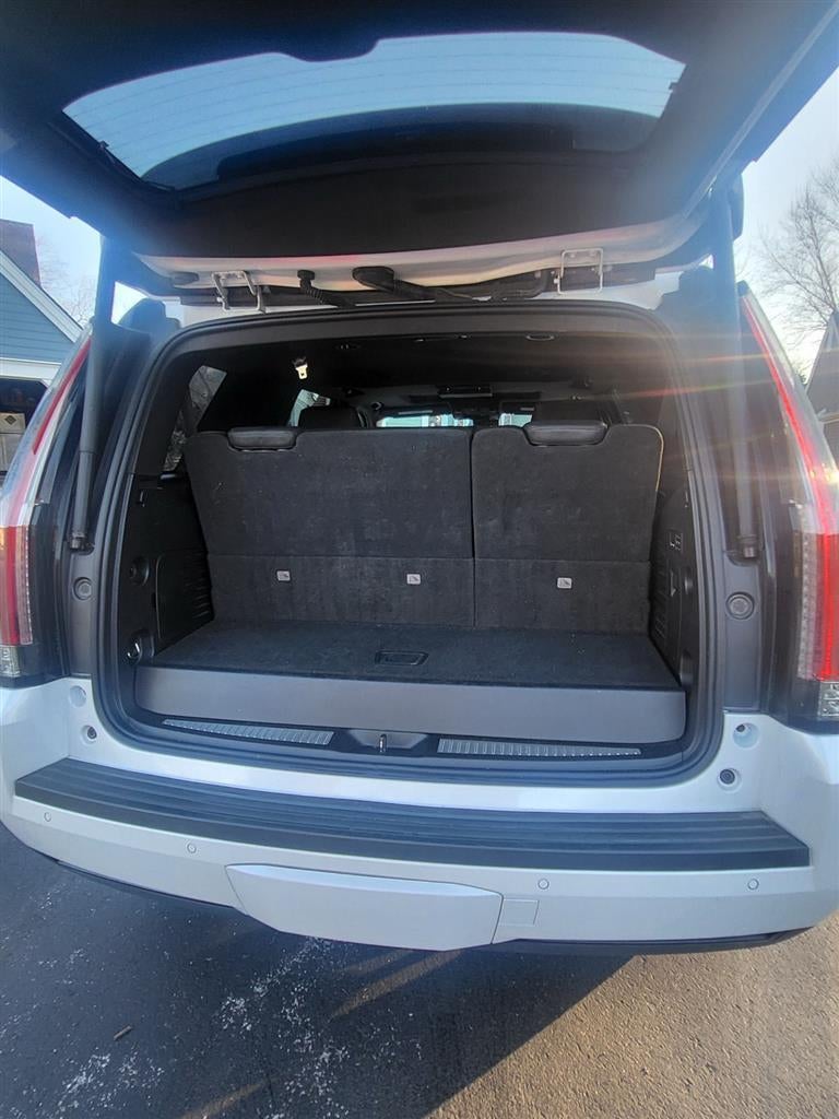 2020 Cadillac Escalade Platinum